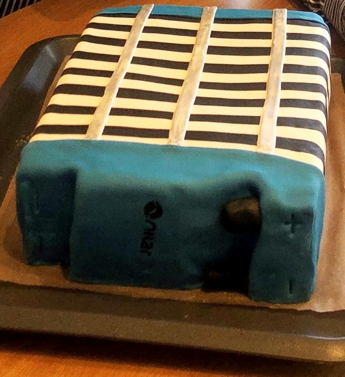 A photo of a cake in the shape of a battery